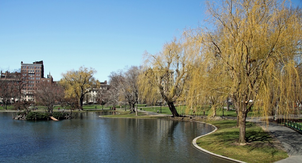 Public Parks in the Charles River Basin